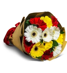 Mixed Color Gerberas