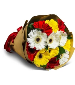 Mixed Color Gerberas