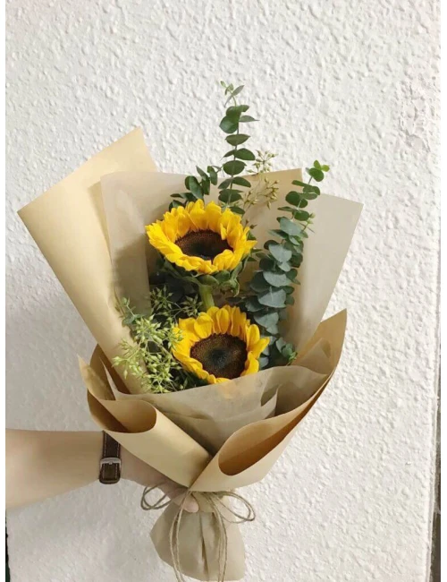 Twin Sunflowers